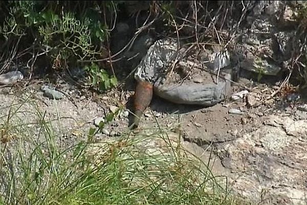 Trois obus de mortier ont été découverts sur les plages de Miomo et Grisgione au nord de Bastia