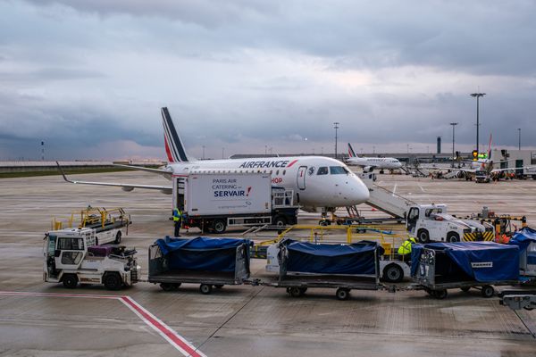 Une touriste tchèque recherche depuis le 19 novembre sa chienne, Amalka, disparue à l'aéroport de Roissy. Image d'illustration.