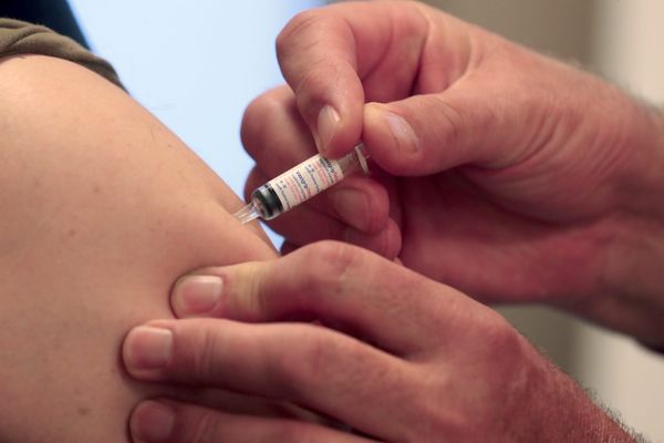Le vaccin contre la grippe attire de nouveau candidats
