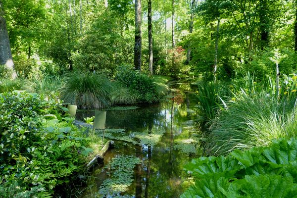 Au printemps, le parc est embelli des floraisons de plantes bulbeuses et vivaces