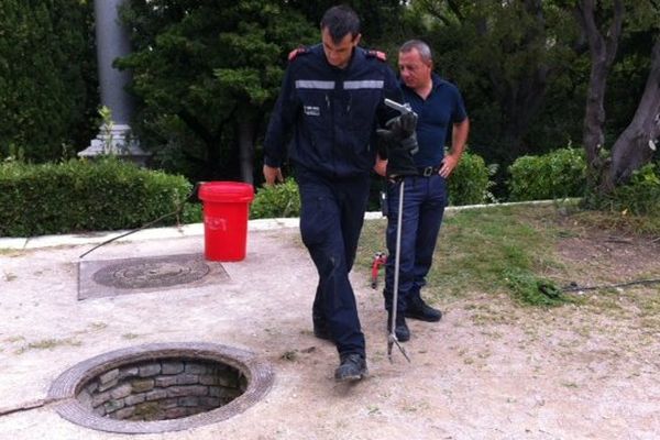 Les pompiers inspectent les bouches d'égouts du parc Puget à la recherche d'un éventuel cobra.