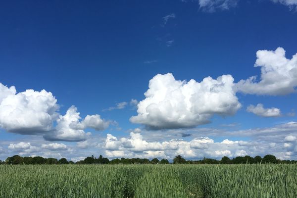 ciel bleu champ vert