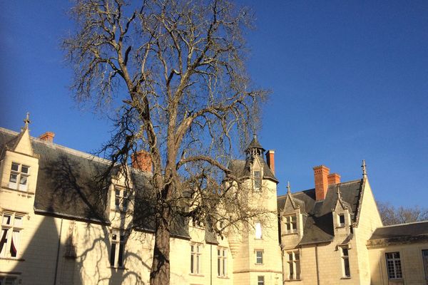 Le château de Dissay entame une restauration