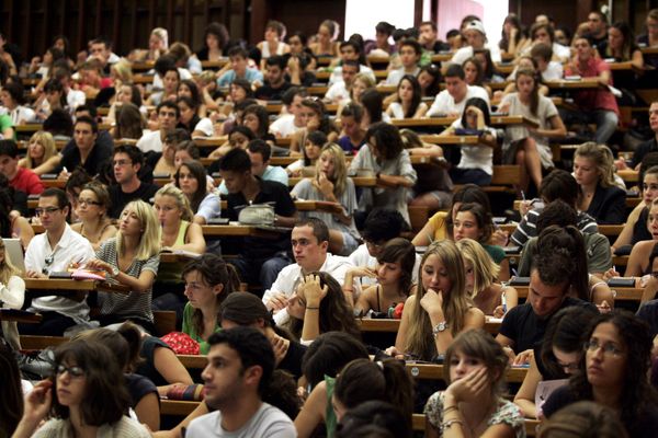 Témoignages accablants face aux agressions d'étudiants dans le quartier de la faculté de médecine de la Timone, à Marseille.