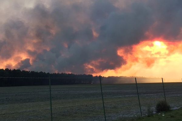 Incendie de la forêt au centre d'essai des Landes à Captieux