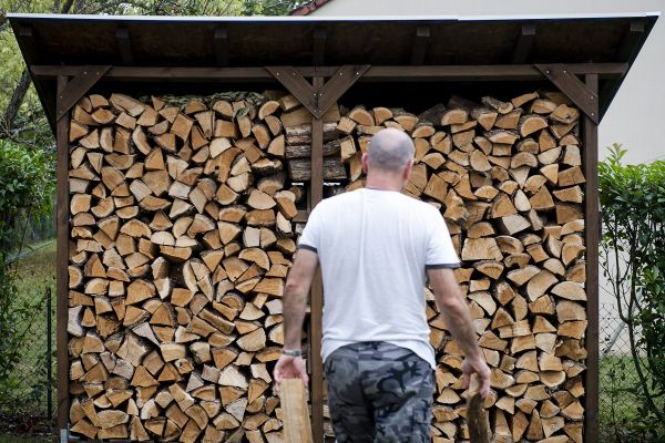 Voici la raison pour laquelle vous ne devez pas commander votre bois à cette période.