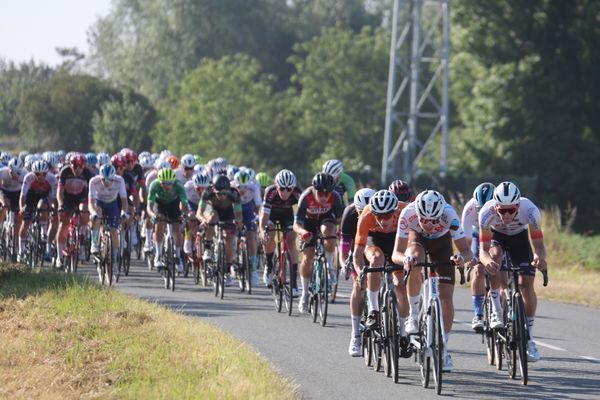 Les championnats de France de cyclisme 2024 se déroulent dans la Manche, du 20 au 23 juin.