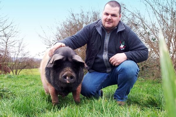 Nicolas Coudert, éleveur à Séreilhac en Haute-Vienne avec Galilée, l'une des sept stars du salon international de l'agriculture 2013