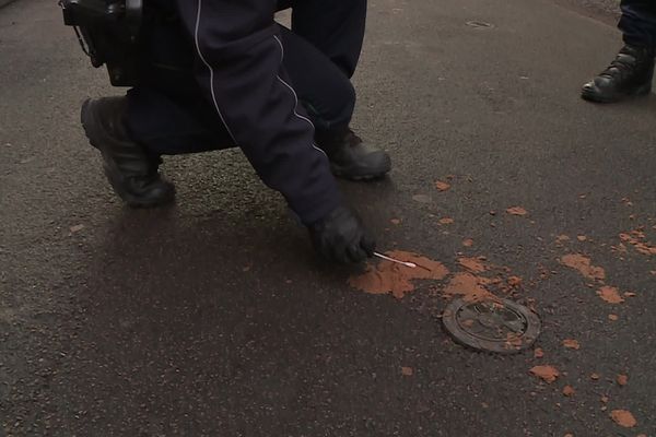 Les déjections canines retrouvées par terre sont désormais analysées à Béziers.