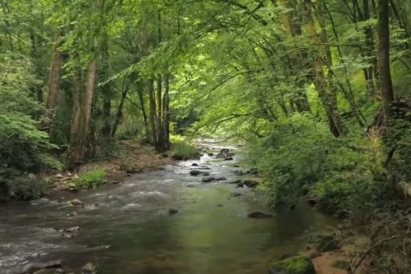 La vallée de la Dordogne est la plus grande zone de France labélisée "Réserve Naturelle de Biosphère" par l'UNESCO.