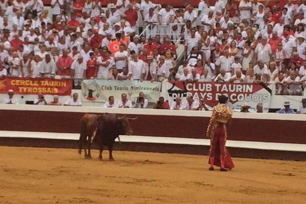 Le toro Lebrero gracié par Ginés Marin, dans les arènes de Dax dimanche.