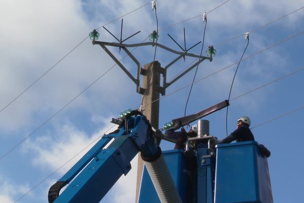 Les techniciens installent des protections pour les oiseaux