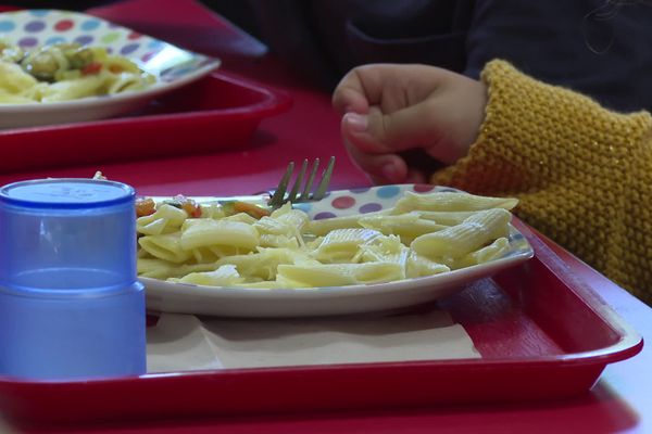 Cantines scolaires de Montélimar : les familles se plaignent de la qualité et des quantités servies aux enfants - octobre 2024.