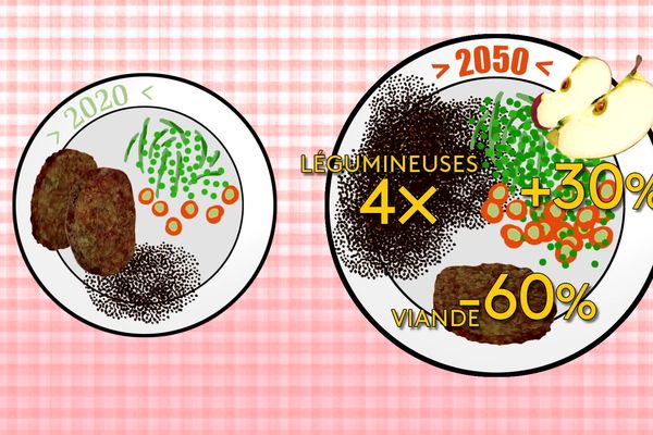 Dans l'assiette 2050 il faudrait réduire la viande considérablement !