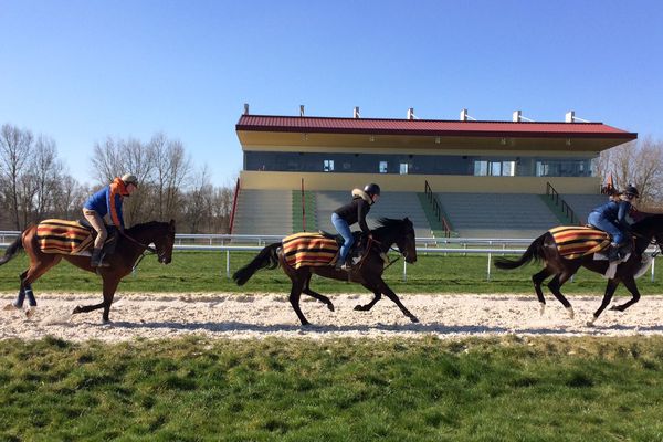 Le centre d'entraînement de l'hippodrome de Moulins accueille 130 chevaux de course