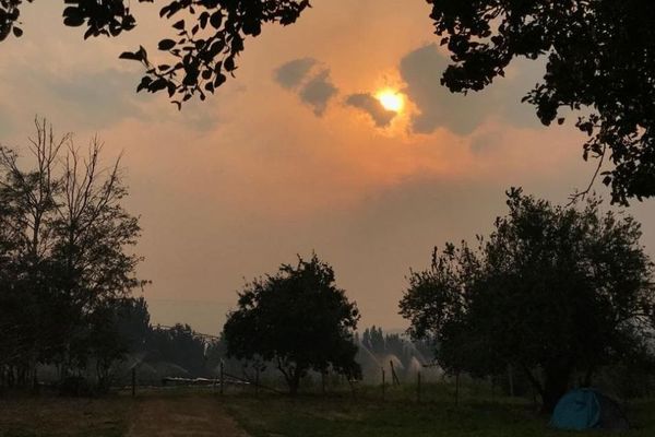 Lindo Woudenberg, un Toulousain vivant en Australie, assiste à l'évolution des incendies depuis plusieurs semaines. 