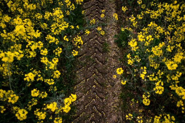 Le "diagnostic cimatique" des terres agricoles est voté ce mardi à l'Assemblée Nationale.