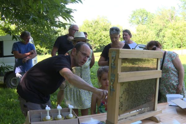 Pendant la visite des ruches, les vacanciers sont piqués de curiosité, le 31 juillet, en Haute-Vienne.