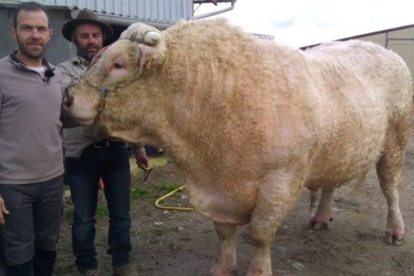 Galopin avec ses deux co-propriétaires, éleveurs dans les Hautes-Pyrénées : Laurent Laclaverie et Alain Carrau