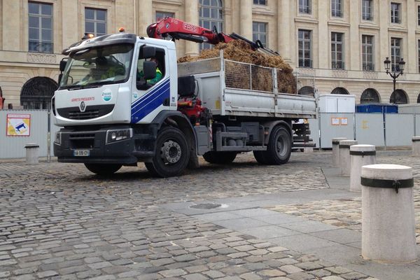 Des agriculteurs déversent du fumier à Reims