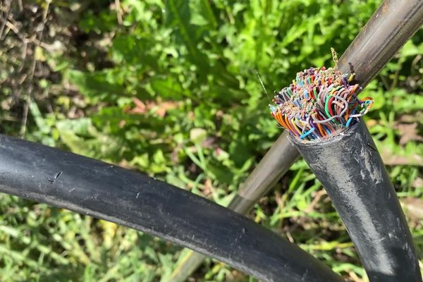 Des milliers de petits fils de cuivre composent un câble de raccordement ADSL