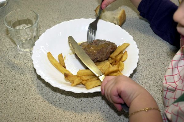 Le député LFI de la Haute-Vienne, Damien Maudet, souhaite interdire la viande importée dans les cantines.