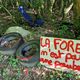 Des pneus retrouvés abandonnés en forêt, dans les Ardennes, le 06 juin 2024.