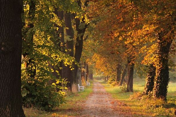 Le mois de novembre a débuté dans la douceur