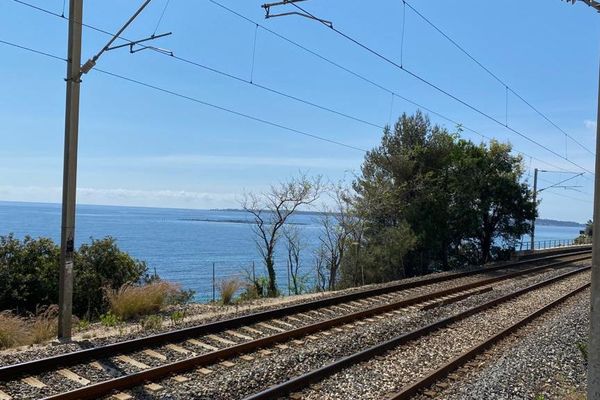 Le trafic SNCF s'annonce perturbé à la fois sur le réseau grande ligne que pour les TER.