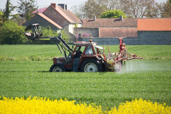 Atmo Occitanie a détecté la présence de 61 pesticides dans l'air de la région 