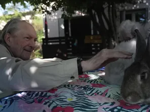 Quelques heures avec des animaux à caliner, la médiation animale opère des bienfaits avérés chez les personnes âgées.