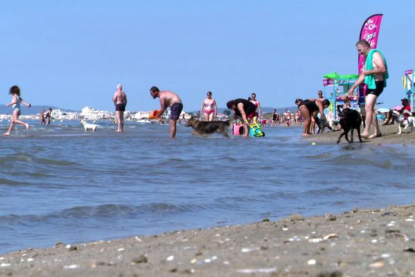 La Grande-Motte (Hérault) - la plage réservée aux chiens est à l'accès N°60 du Grand Travers - août 2023.