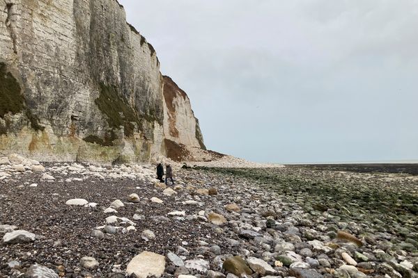 Un pan de falaise s'est écroulé sur la plage de Veulettes-sur-mer dans la nuit du 6 au 7 janvier 2022