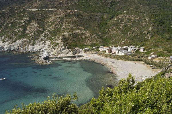 Canari, Haute-Corse