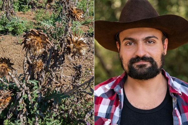 Serge Zaka, agro-climatologue à Montpellier, s'intéresse à l'impact du climat sur nos productions agricoles en Occitanie.