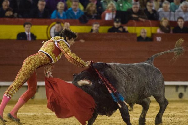 Castellón, 10 mars 2018. L'estocade de Castella semble bonne. Mais le toro de Victorino ne baissera jamais la tête et Sébastien Castella ne parviendra pas à ajuster le descabello. Trois avis sonneront, le toro rentrera au corral.