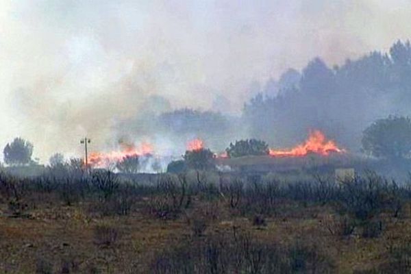 Saint-Georges-d'Orques (Hérault) - un incendie détruit 20 hectares - 13 mai 2014.