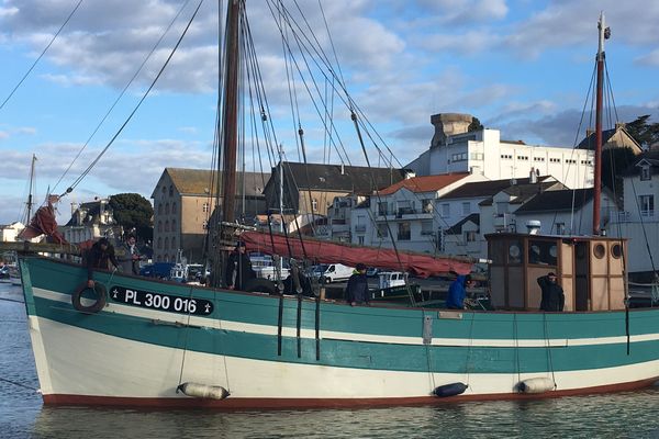 Le vieux gréement "Fleur des Ondes" à son arrivé dans le vieux port de Pornic ce mardi 20 mars.