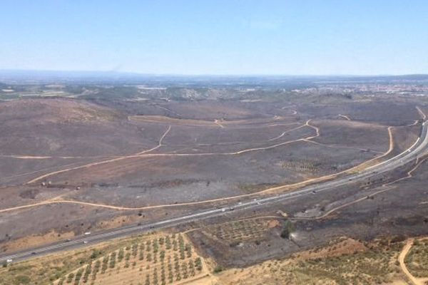 L'incendie autour de Bizanet près de Narbonne a ravagé plus de 800 hectares de pinèdes et de cultures.