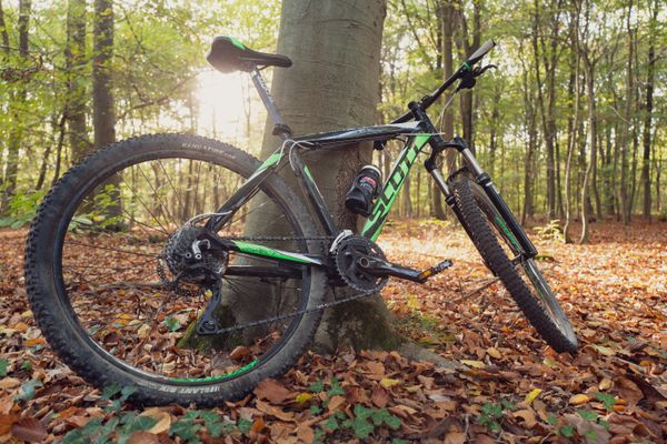 Balade à vélo dans la forêt de Saint-Germain-en-Laye - Yvelines