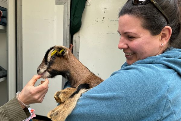 Nathalie Vogt a adopté sept chevreau via l'association Règne Animal.