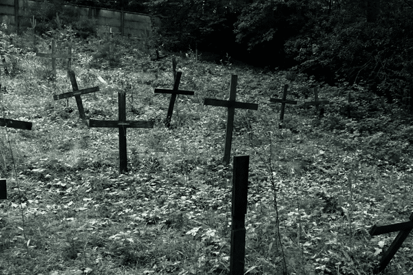 Dans ce "cimetière des fous" reposaient des patients de l'hôpital psychiatrique de Navarre.