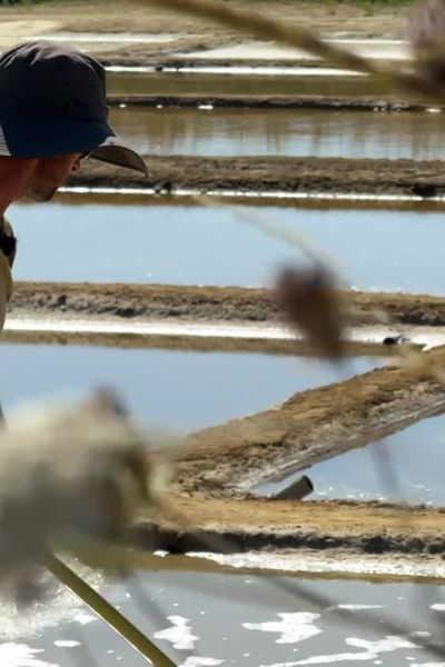 La saison 2024 de récolte du sel a commencé avec deux mois de retard à Oléron, à cause des conditions climatiques.