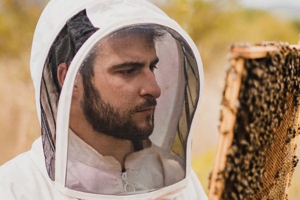 L'apiculteur Alban Mauzac va relier Toulouse à Niort à vélo pour sensibiliser au déclin des abeilles.