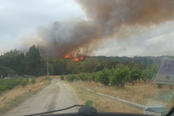 A Vénéjean, dans le Gard - 1er août 2017.