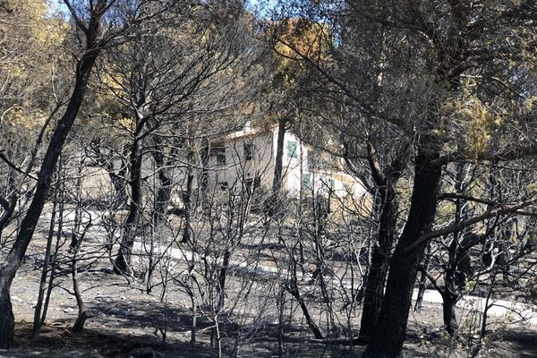 Incendie Vaucluse : le feu a ravagé 240 hectares dans la commune de Beaumes-de-Venise et ses alentours. 