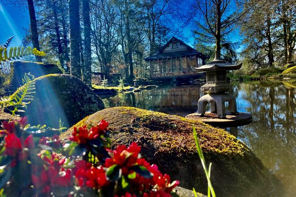 Les jardins de Haute-Vienne ouvrent leurs portes aux visiteurs à l'occasion du Rendez-vous aux jardins, organisé dans toute la France. (photo d'illustration)