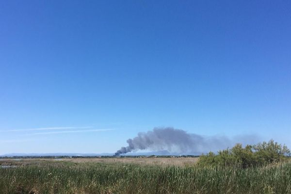 Fumée de l'incendie d'un entrepôt de Mudaison dans l'Hérault - 13 juin 2019.