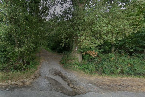 Le bois de Pau est une forêt domaniale de 297 ha très appréciée des promeneurs et des sportifs.