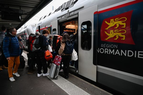 Les trains concernés par la nouvelle réglementation de la SNCF sont les TGV Inoui, les Intercités et les TGV France-Italie.